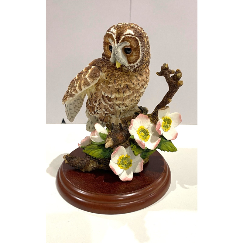 Border Fine Arts Figurine Tawny Owl Model A1476 New With Original Box